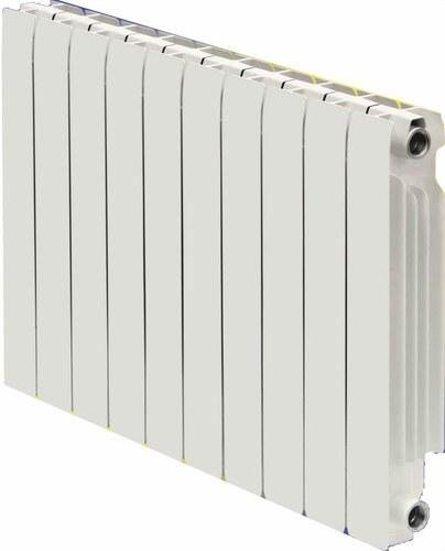 Ferroli EUROPA C 800 Radiator - 10 elements with reference 740078010 from the brand FERROLI